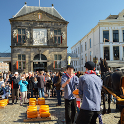 The Gouda Cheese Market in action