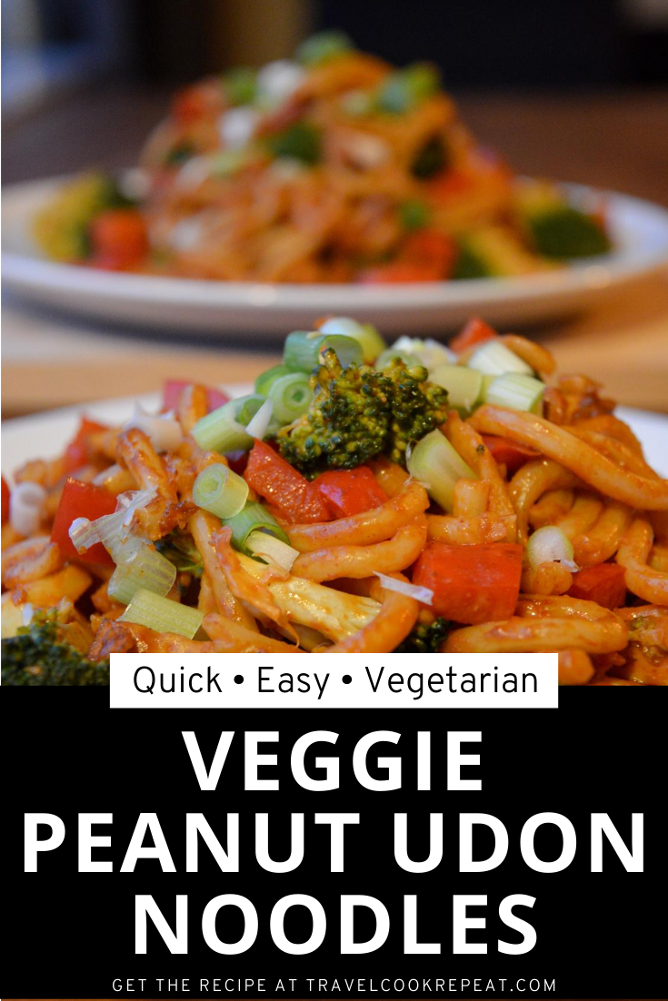 Veggie Udon Noodles with Peanut Sauce