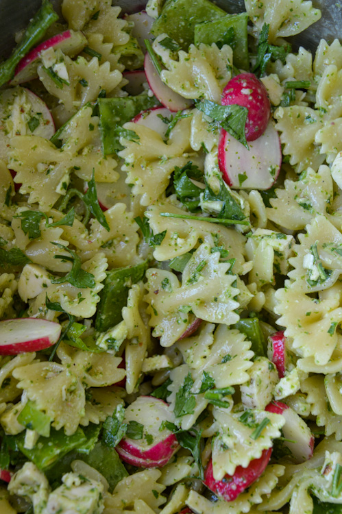 Close up of radish greens pesto pasta salad with bow tie pasta, radishes, snow peas, and chicken