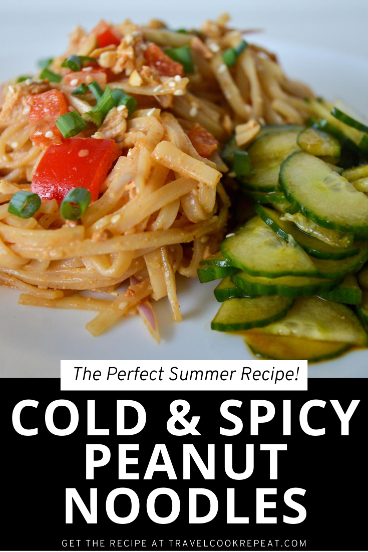 Spicy Peanut Noodles - Served Cold for Summer