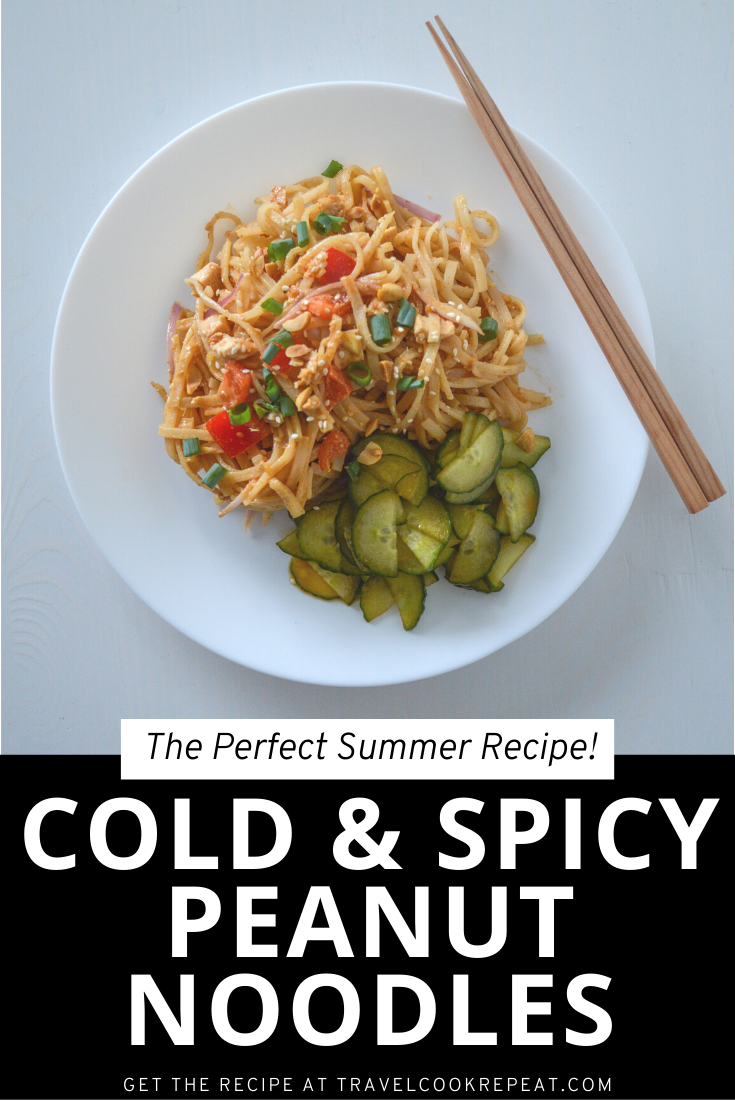 Spicy Peanut Noodles - Served Cold for Summer