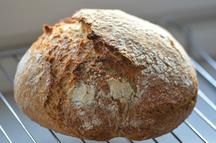 A beautiful loaf of crusty no-knead bread (made in a Dutch oven) resting on a cooling rack