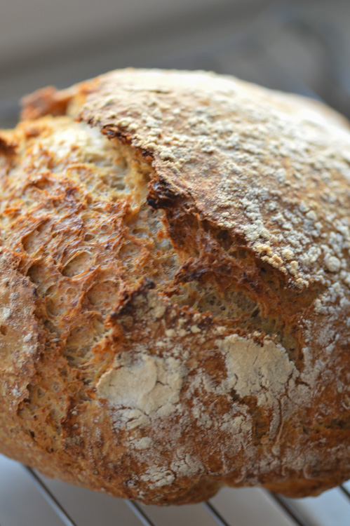 Close up of a no-knead loaf of bread that was made in a Dutch oven