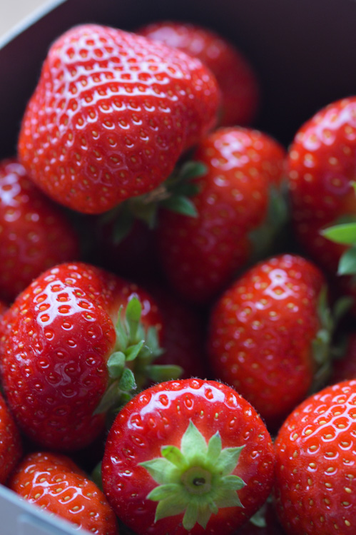 Close up of beautiful strawberries - perfect for a strawberry sando